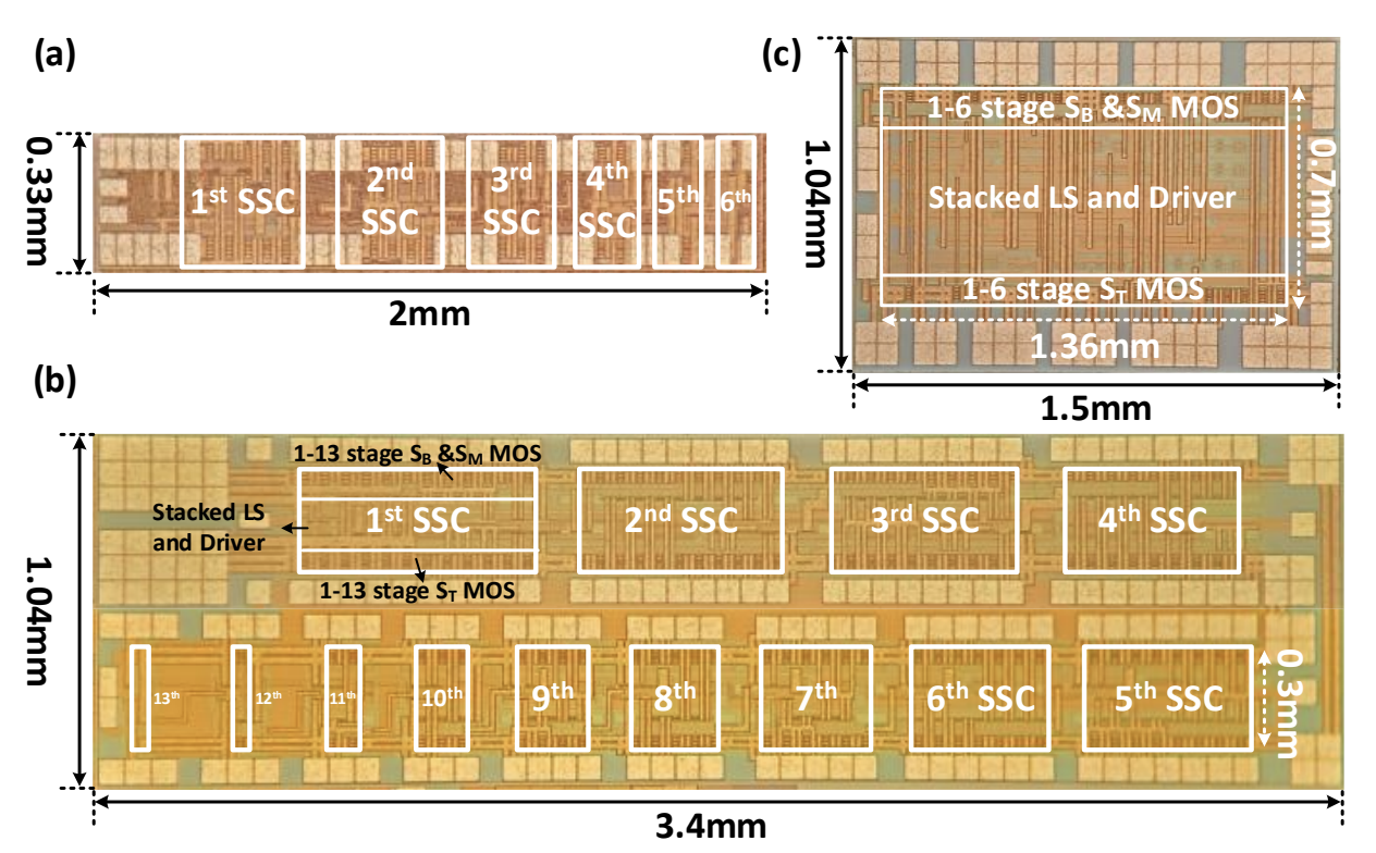 Shousheng switched-capacitor chip